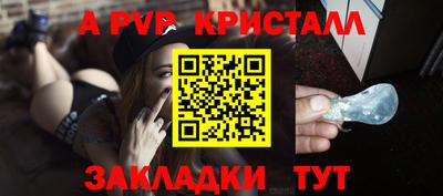 индика Пенза
