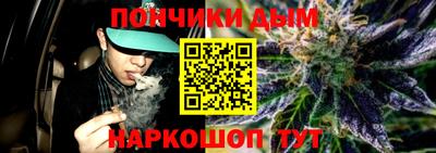 индика Пенза