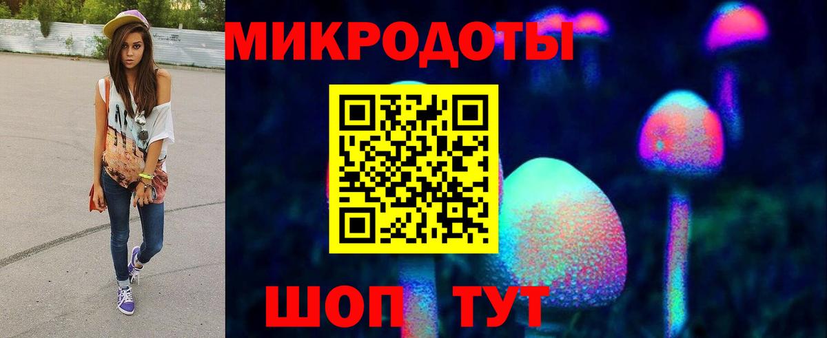 Псилоцибиновые грибы Psilocybine cubensis Саяногорск